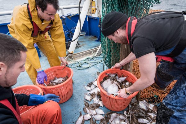 Quels sont les différentes opportunités et défis de l'emploi à Granville ?